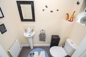 Photo 12- click for photo gallery